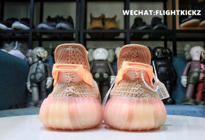 Yeezy Boost 350 V2 Clay 2019 (LN5 A1)