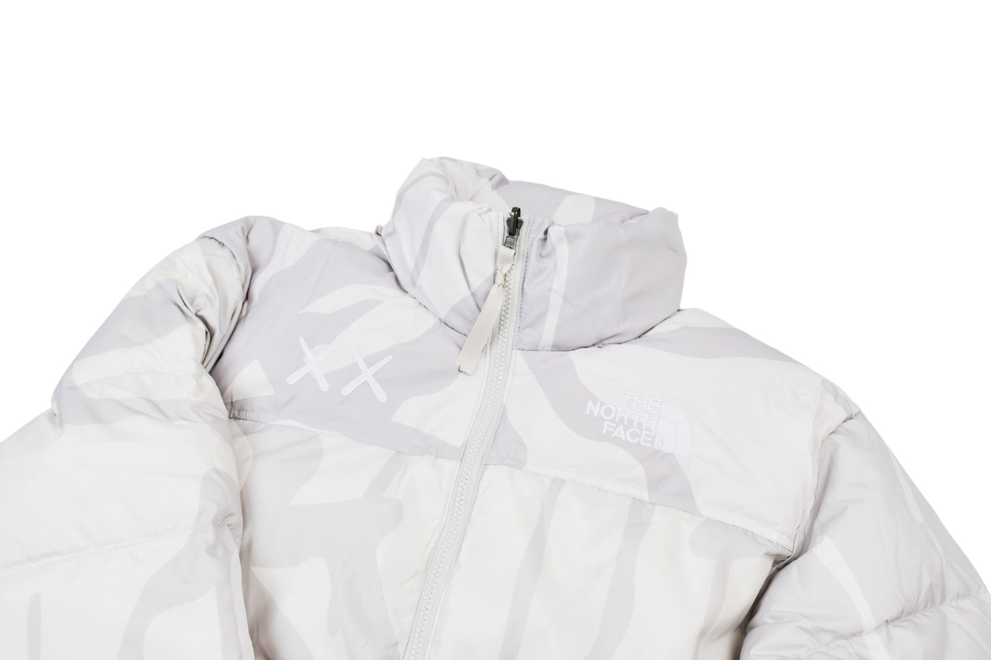 Kaws x The North Face TNF 1996 Down Jacket