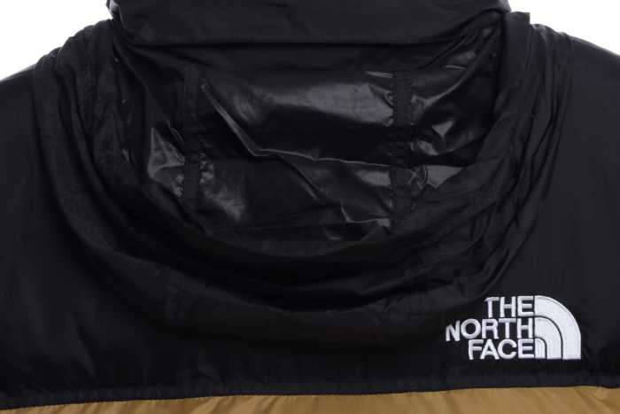 TNF 19fw 1996 Classic Down Jacket