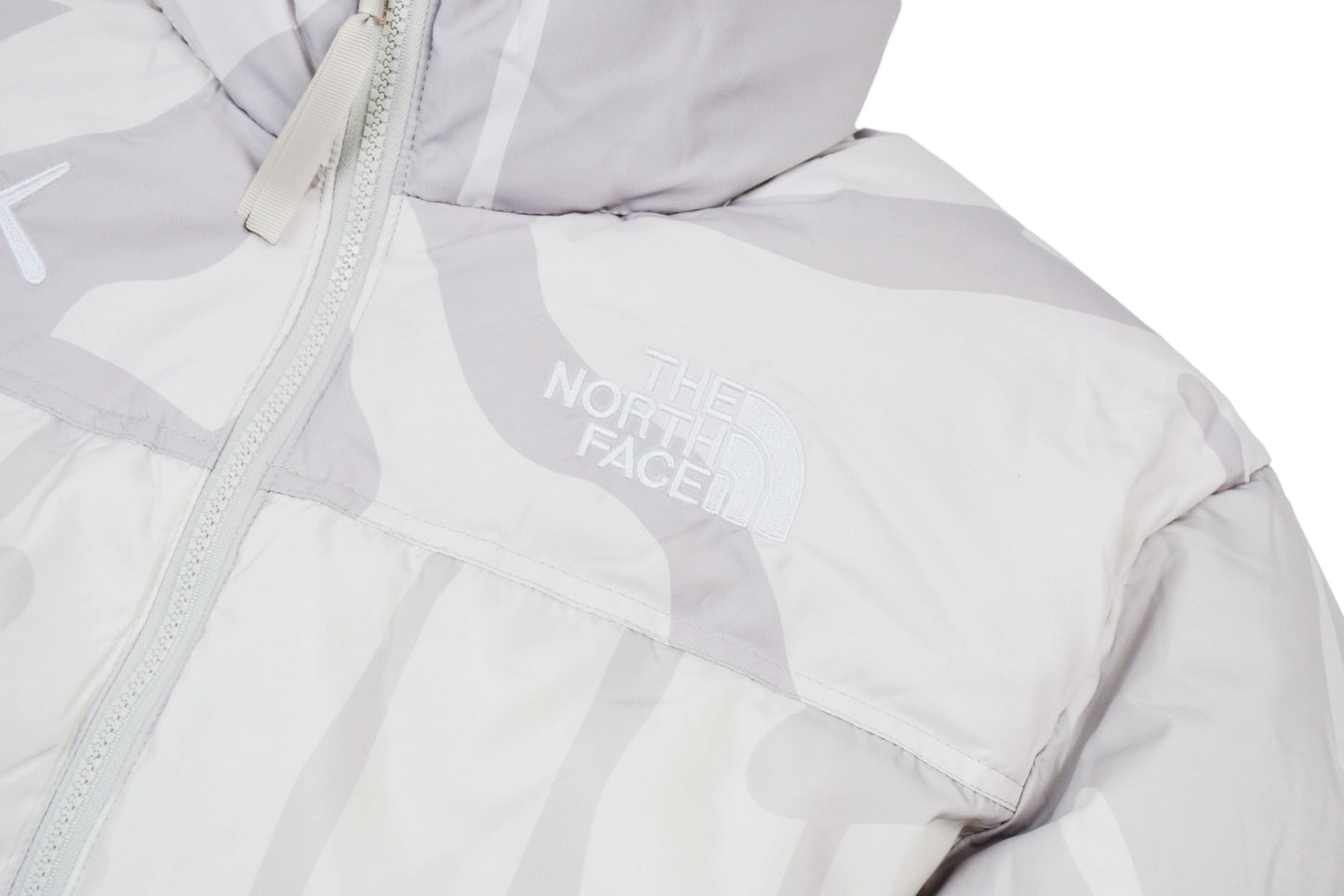 Kaws x The North Face TNF 1996 Down Jacket