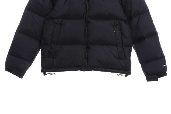TNF 19fw 1996 Classic Down Jacket