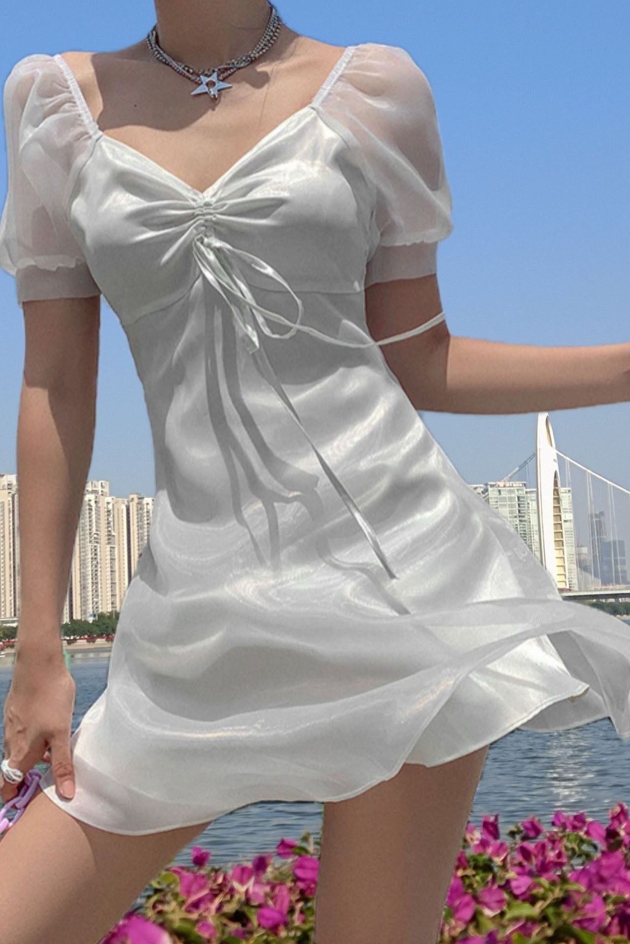 Puff - Sleeve Sheer Princess Dress