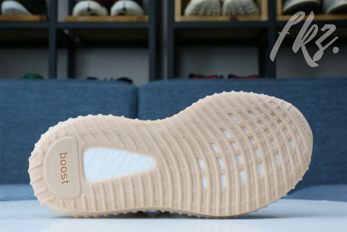 Yeezy Boost 350 V2 Synth Reflective 2019(Ln5 A1)