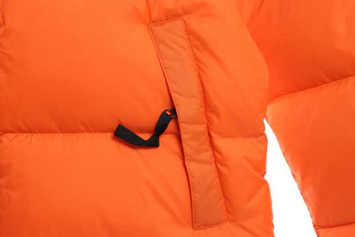 TNF 19fw 1996 Classic Down Jacket