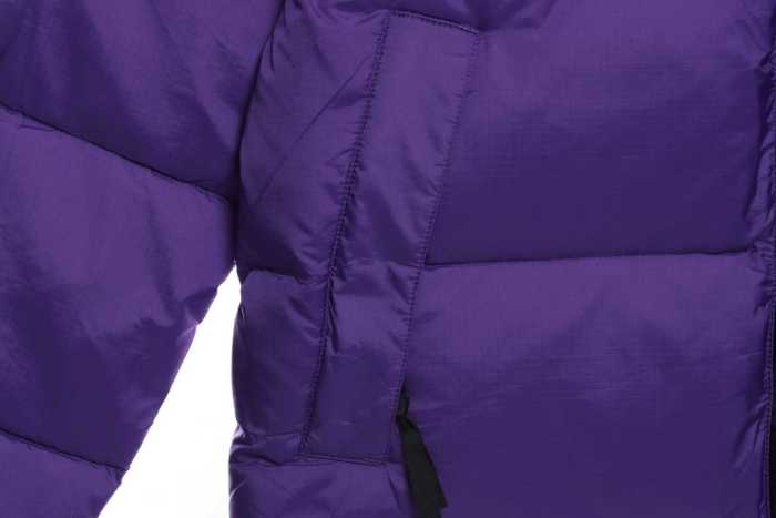 TNF 19fw 1996 Classic Down Jacket