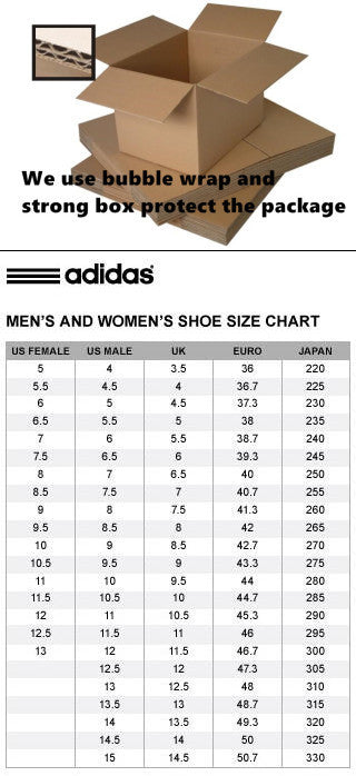 Yeezy Boost 700 V2 Vanta 2019