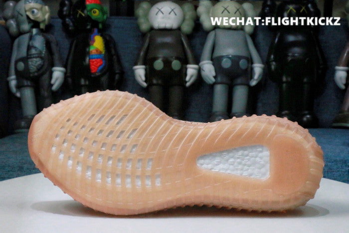 Yeezy Boost 350 V2 Clay 2019 (LN5 A1)