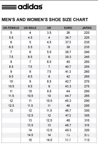 2020 Yeezy 350 V2 Flax (LN5 A1)