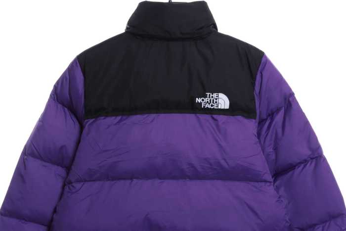 TNF 19fw 1996 Classic Down Jacket