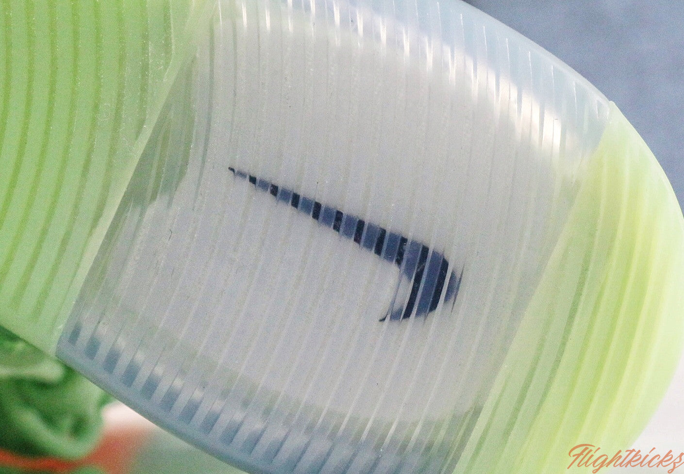 Nike Air FOG 1 Frosted Spruce 2019