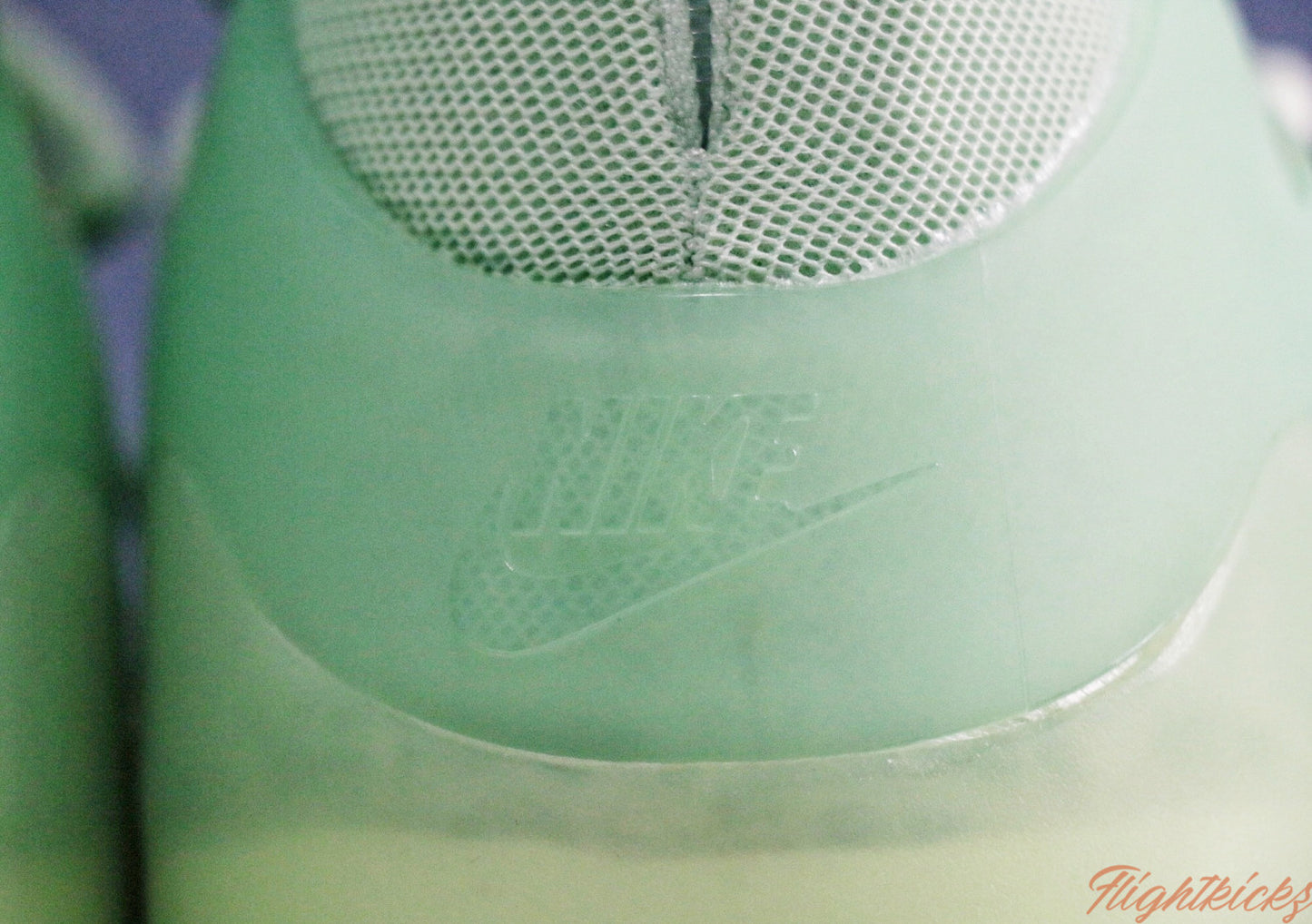 Nike Air FOG 1 Frosted Spruce 2019