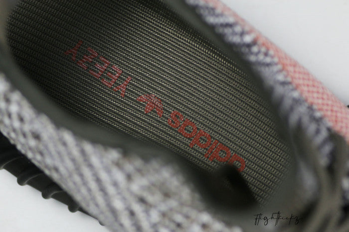 Yeezy Boost 350 V2 Ash Stone 2021 (Ln5 A1)