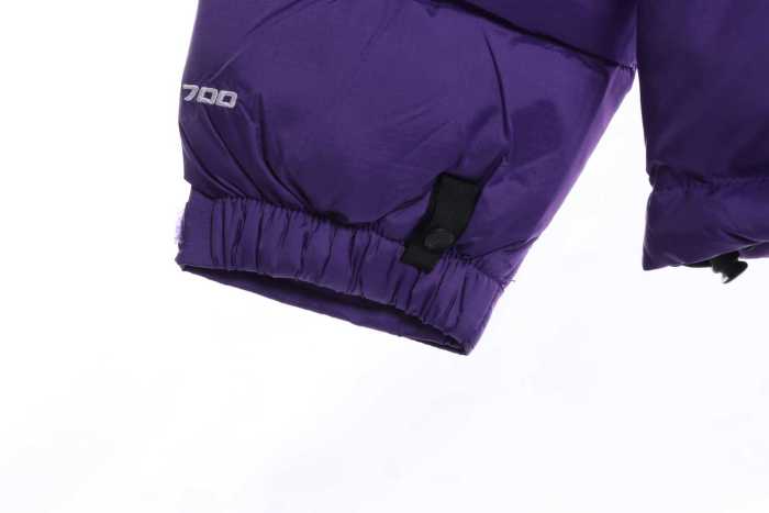 TNF 19fw 1996 Classic Down Jacket