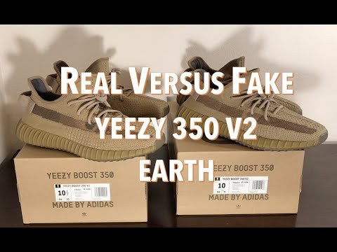 2020 Yeezy 350 V2 Earth (Ln5 A1)