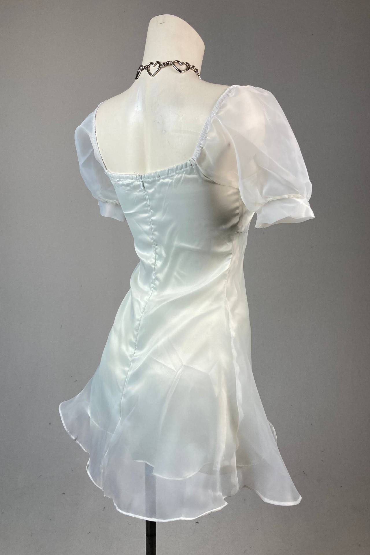 Puff - Sleeve Sheer Princess Dress