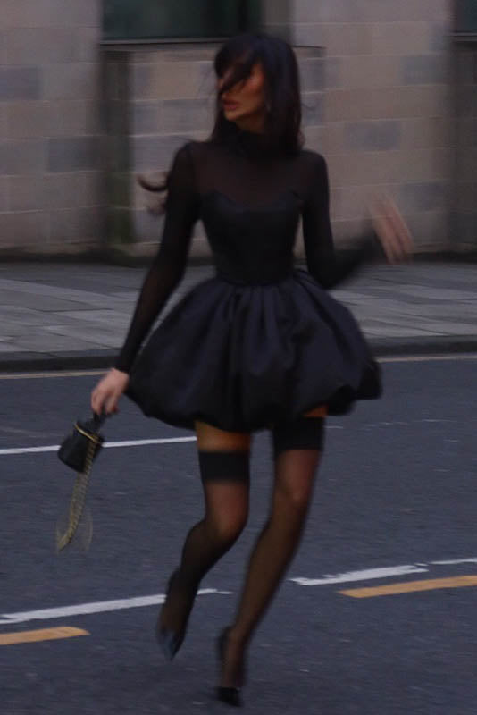 Winter Elegant Mesh Sheer Slim Fit Puff Mini Dress