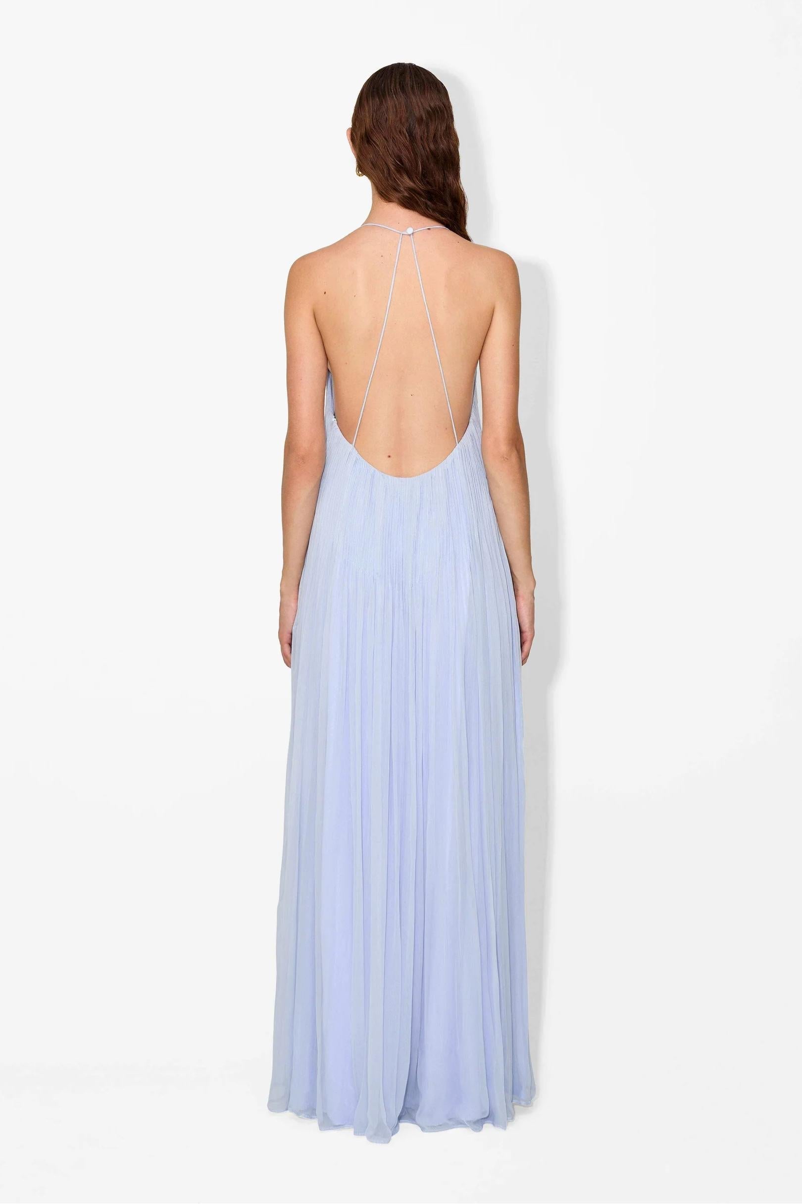 Haydin Maxi Dress - Hydrangea