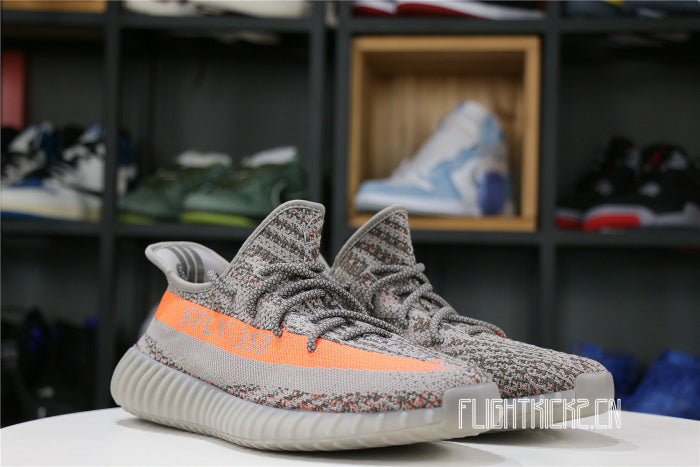 Yeezy 350 V2 Beluga Reflective (Ln5 A1 batch)