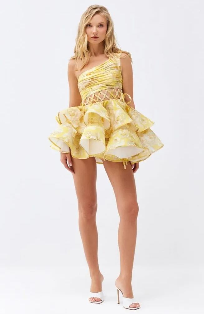 Andrea Floral Printed One-shoulder Mini Chiffon Dress