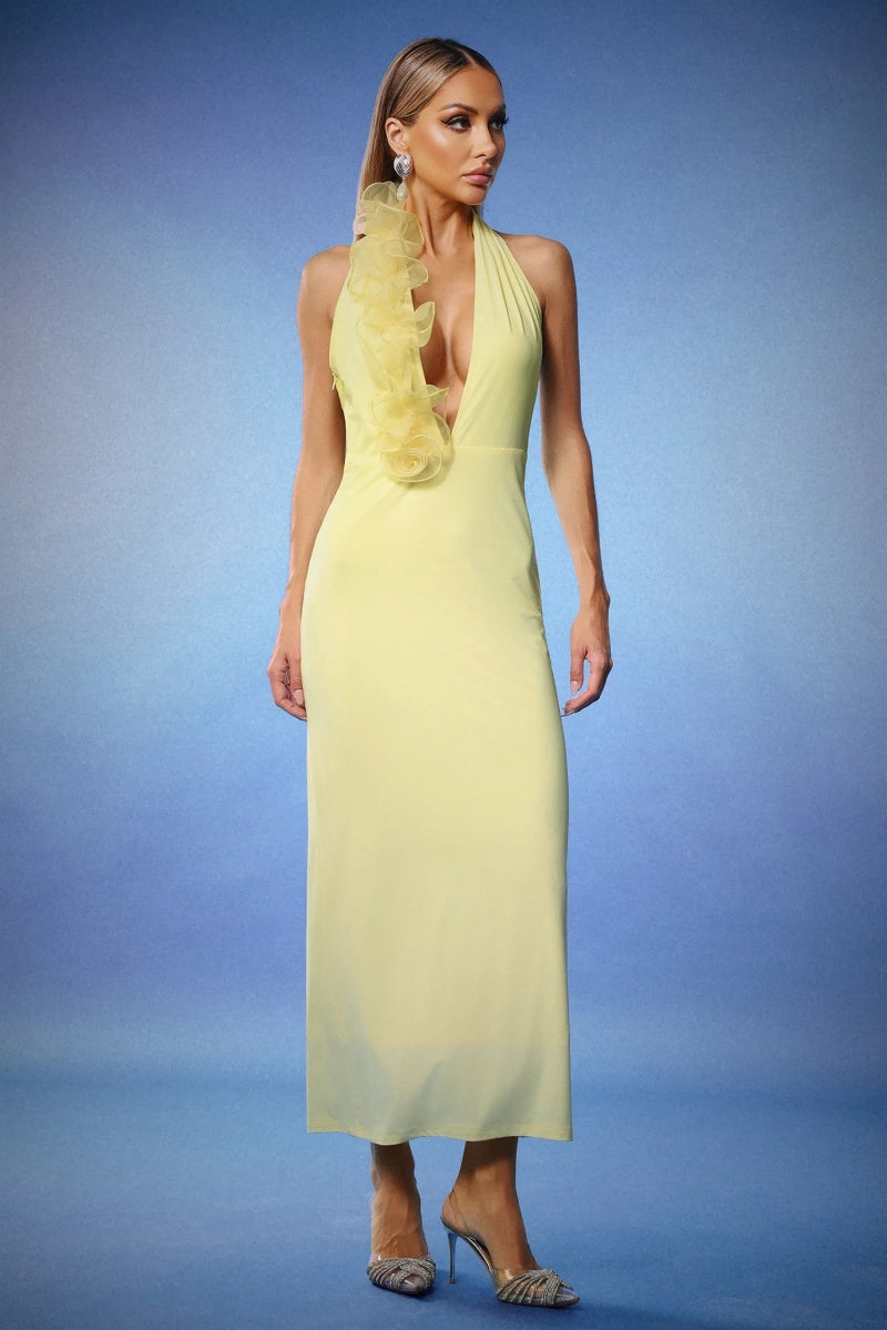 Halter Neck Long Maxi Dress