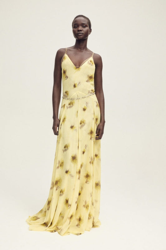 Capsule Chiffon Maxi Dress