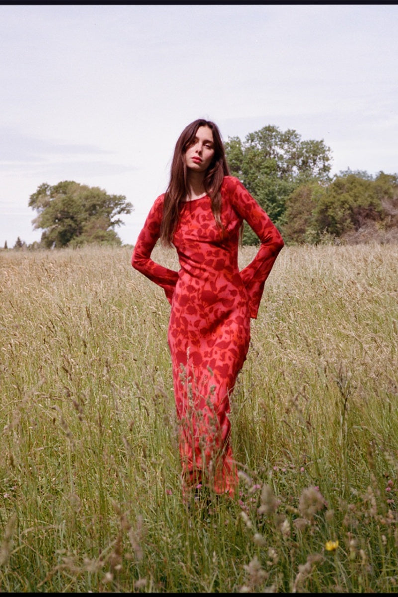 Long Sleeve Rose Printed Maxi Dress