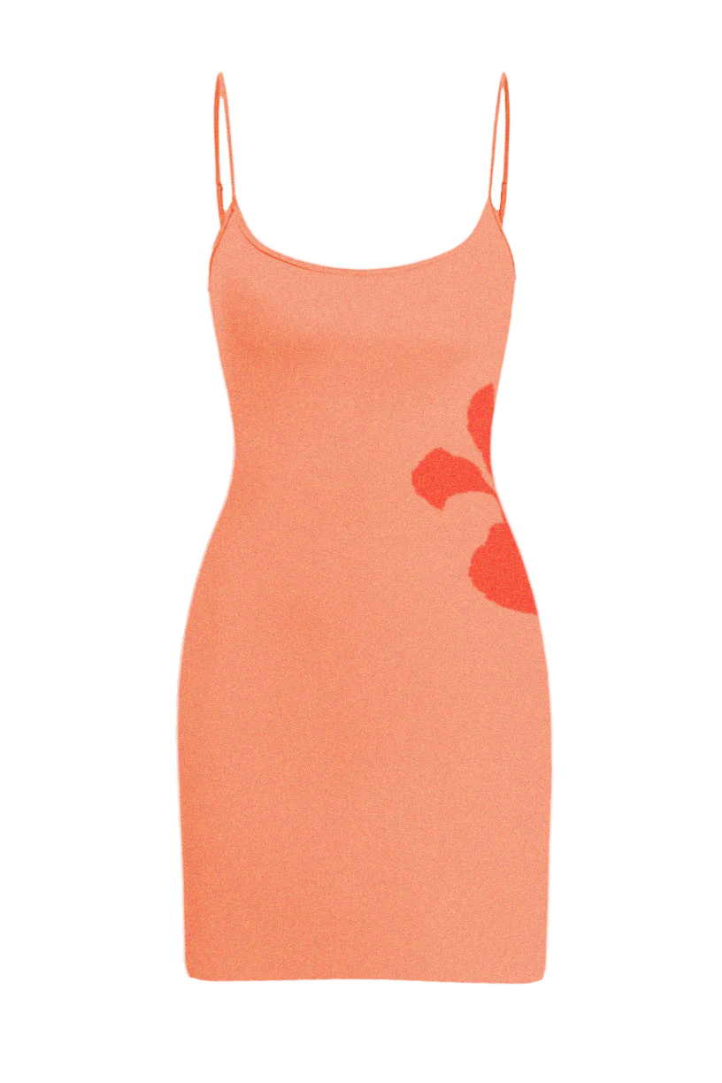 Mali Knit Mini Dress