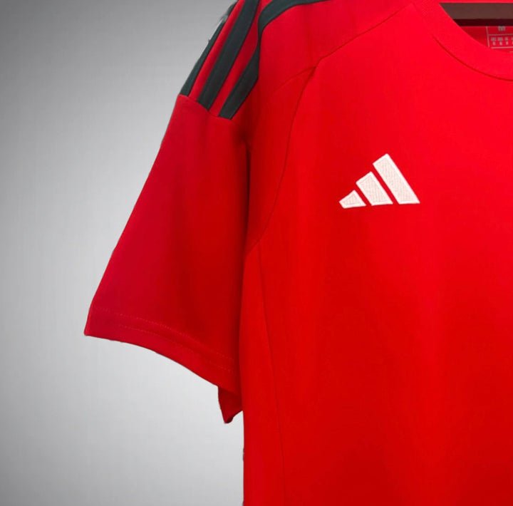 Wales 2024 Home Kit